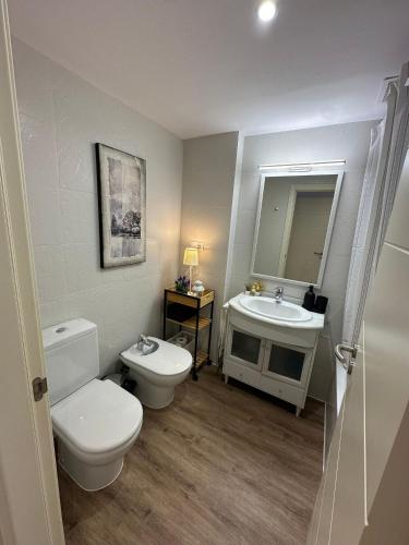 a bathroom with a toilet and a sink at El Escondite De Las Margas in Sabiñánigo