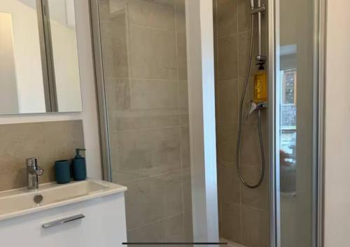 une salle de bain avec douche et lavabo dans l'établissement Au cœur du village confortable, à Soucieu-en-Jarrest