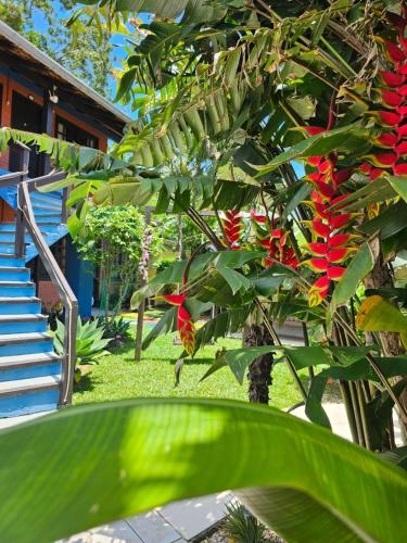 a tree with red flowers on it next to a house at Sunshine Residencial in Bombinhas