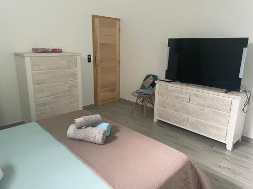 TV a/nebo společenská místnost v ubytování Les Lodges de Malendure
