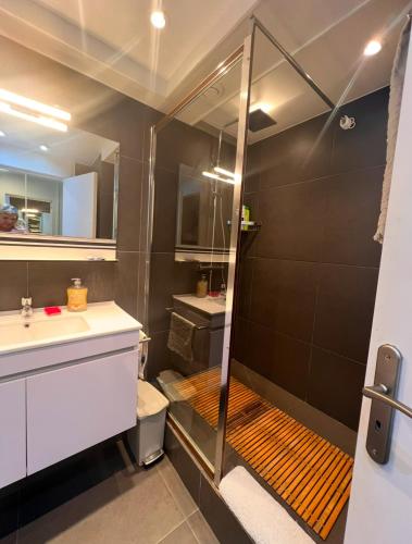 a bathroom with a shower and a sink at Studio pirate of the Caribbean 2 sea view in Marigot