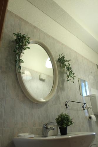 a bathroom with a sink and a mirror on the wall at Appartamento in Villa Nadin in Monte Compatri