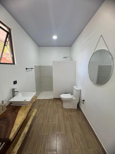 a bathroom with a toilet and a sink and a mirror at Villa Colibrí a solo 5mins de Playa Carrillo in Hojancha