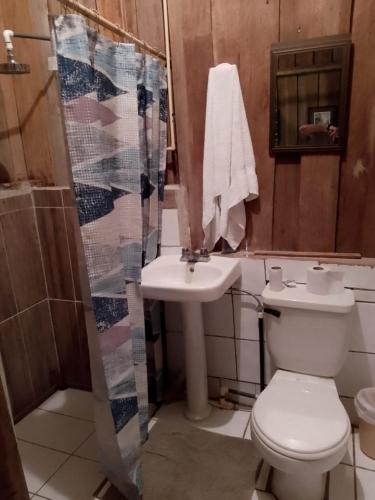 UpalaにあるCabañas Rusticas Cielo Roto, Río Celesteのトイレと洗面台付きのバスルーム