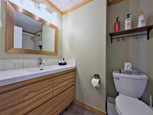 a bathroom with a toilet and a sink and a mirror at Hillcrest Hideaway: Spacious Mountain View Oasis in Hillcrest Mines