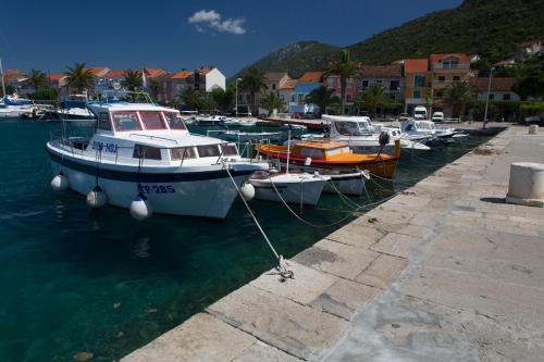 a bunch of boats are docked in the water at Hotel Faraon in Trpanj
