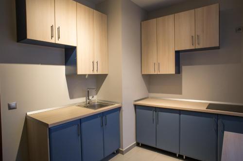 a kitchen with blue cabinets and a sink at Luxe Stay in Târgu-Mureş