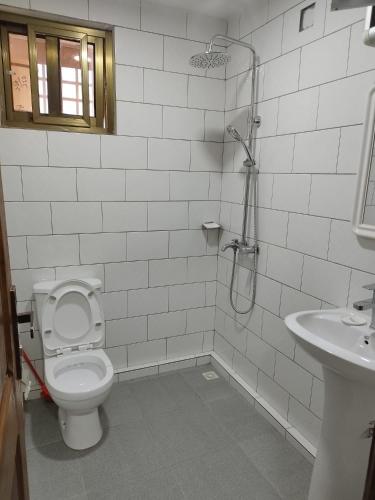 a bathroom with a shower and a toilet and a sink at Elira 2 chambres rez-de-chaussée in Kinshasa