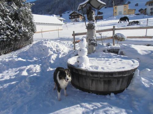 a dog standing in the snow next to a fountain at Petter 3 in Tobadill