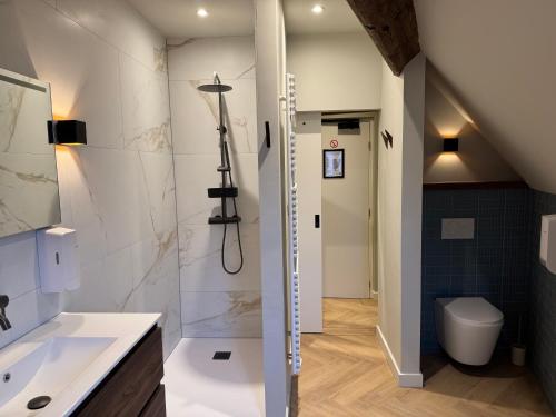 a bathroom with a shower and a toilet and a sink at De Pastorie Bed & Breakfast in Roermond