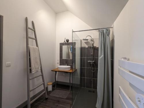 une salle de bain avec une douche en verre et une échelle dans l'établissement Maison de Charme avec Piscine Chauffée, Proche Châteauroux, Dans une Propriété du 18ème Siècle - FR-1-591-151, à Saint-Maur