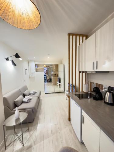 un salon avec un canapé et une cuisine dans l'établissement Joli Studio climatisé au calme, à Nice