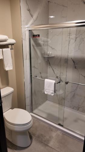 a bathroom with a glass shower with a toilet at Super 8 by Wyndham Hampshire IL in Hampshire