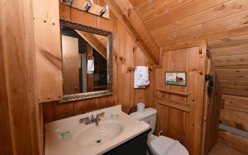 a bathroom with a sink and a toilet and a mirror at Peak A View in Sevierville