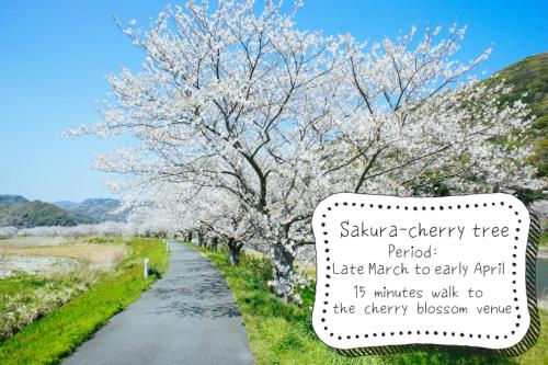 a cherry tree with a sign next to a road at Villa Yumigahama in Minamiizu