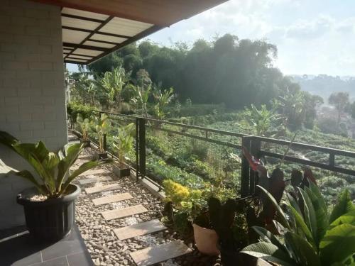 einen Balkon mit Blick auf einen Garten mit Pflanzen in der Unterkunft Villa Tagar Hidayah in Ciwidey