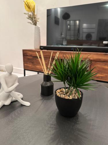 a table with two potted plants on top of it at Luxurious Apartment in Cape Town