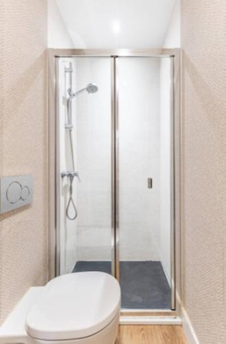 a bathroom with a shower with a toilet and a sink at Loft chic luminoso in Madrid