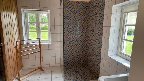 a bathroom with a shower with a sink and a window at Cottage Faflik - Air Con And Own Sauna, Swedish house no 001 in Vlkov