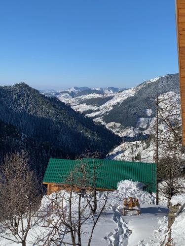 a green building on top of a snow covered mountain at ELIVAAS 4 BHK with Garden & Sauna - Skylounge in Shimla