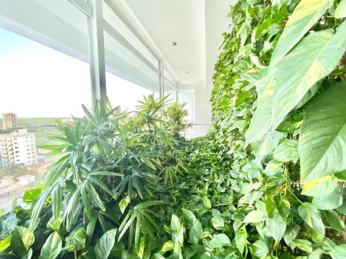 Foto dalla galleria di Marbella 2bedroom Beachfrom Apt a San Pedro de Macorís