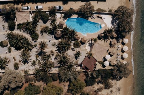 Bazén v ubytování Medusa Beach Resort & Suites nebo v jeho okolí