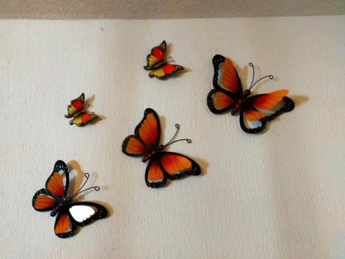a group of butterflies sitting on a table at Apartamento Cntrico Vive El Pulsar De La Ciudad in Toluca