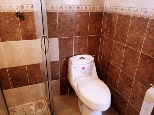 a bathroom with a toilet and a shower at Apartamento Cntrico Vive El Pulsar De La Ciudad in Toluca