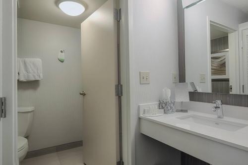 a bathroom with a sink and a toilet and a mirror at Courtyard by Marriott Dallas DFW Airport North/Irving in Irving