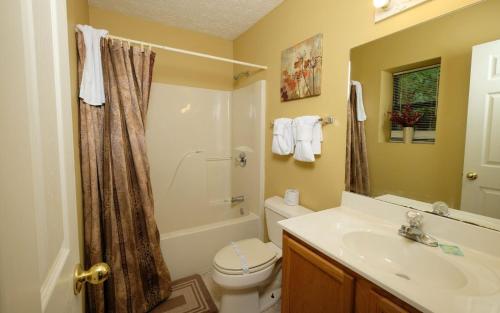a bathroom with a toilet and a sink and a shower at Among The Clouds 2240 in Gatlinburg