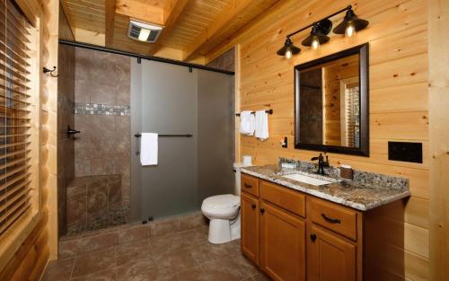 a bathroom with a toilet and a sink and a shower at New Fox Lodge in Gatlinburg