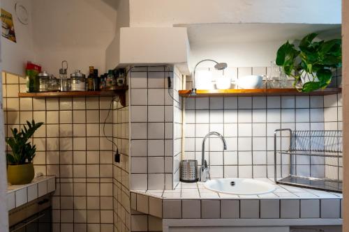 Florentine Soul Apartment - Pitti