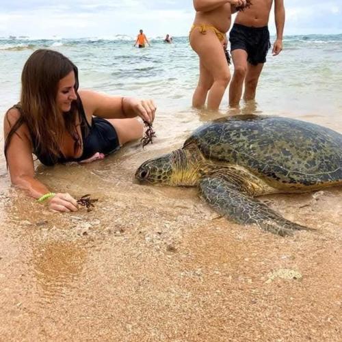 a girl laying on the beach with a sea turtle at freedom house in Unawatuna