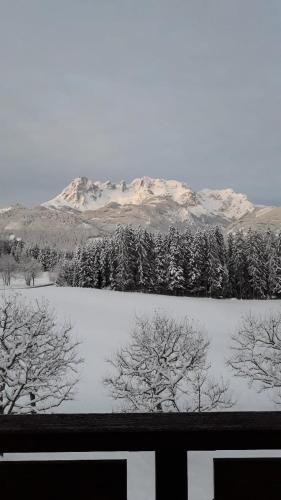 a snow covered field with trees and a mountain at Frische Bergluft und ländlicher Charme - Ihr aktiver Urlaub am Mühlauhof in Mühlbach