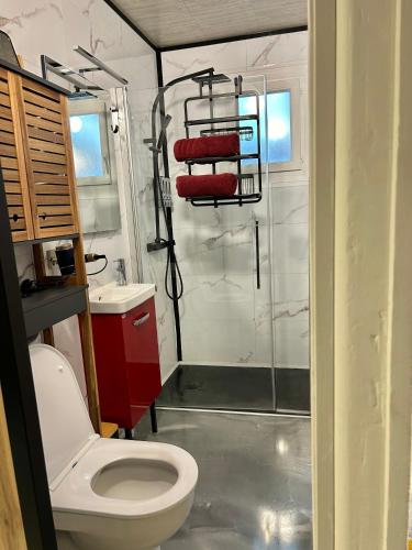une salle de bain avec douche et toilettes dans l'établissement Maison du Bonheur , Lorient , Centre, à Lorient