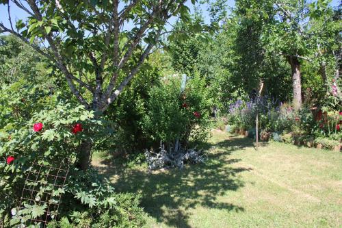 un jardin planté de roses et d'autres plantes et arbres dans l'établissement Les kiwis, à Sarlat-la-Canéda