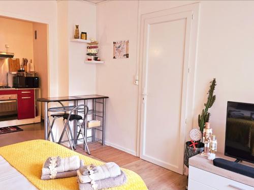 Kuchyň nebo kuchyňský kout v ubytování Charmant Studio proche centre avec balcon+parking