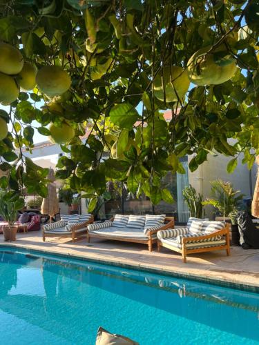 a pool with chaise lounges next to a tree at Villa Balfour in Eilat