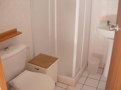 bagno bianco con servizi igienici e lavandino di Grand Hourcqs a Pouillon
