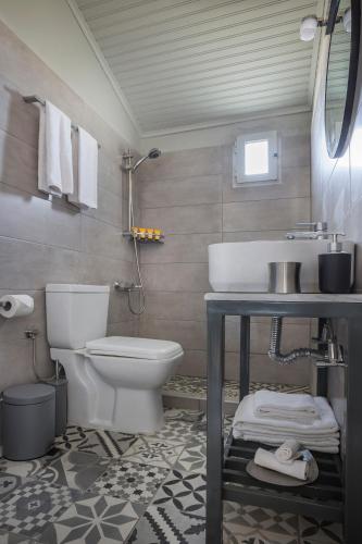 a bathroom with a white toilet and a sink at Zādos Central Garden Villa, Lixouri Nomāde in Lixouri