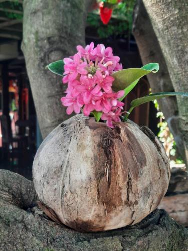 a vase with a pink flower in it at MrT Riverside Sampran มิสเตอร์ที โฮมสเตย์-ริมนที in Sam Phran