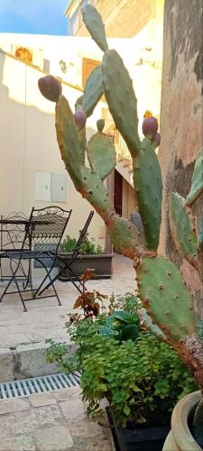 Un jardín fuera de Bed & Breakfast Scicli
