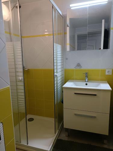 une salle de bain avec un lavabo et une douche dans l'établissement VILLA CITRONNELLE Grande maison 2 chambres avec jardin proche plage - Clim, à Saint Cyprien Plage