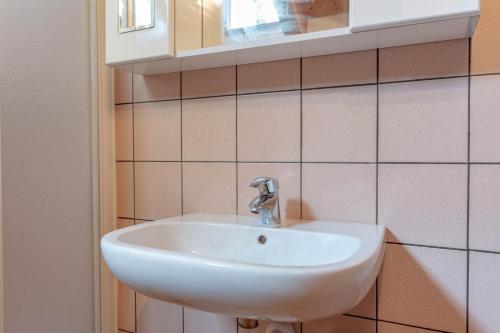 a bathroom with a white sink and a mirror at Chalet Musiera in Telve