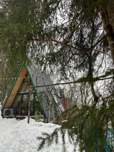 Wood Vibe en invierno