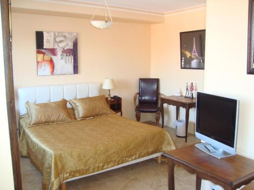 1 dormitorio con 1 cama y escritorio con TV en Hôtel Le Sauvage, en Tournus