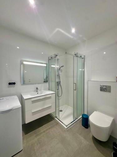 une salle de bain avec une douche, un lavabo et des toilettes dans l'établissement Appartement Felicíta, à Saint-Florent