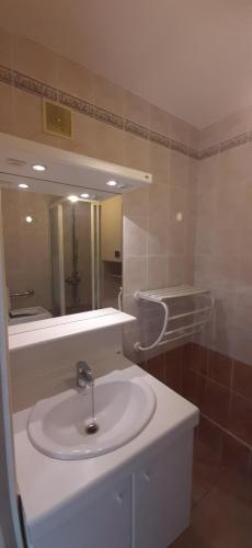 une salle de bain avec un lavabo et un miroir dans l'établissement Vallée de la Saône T3, à Fontaines-sur-Saône