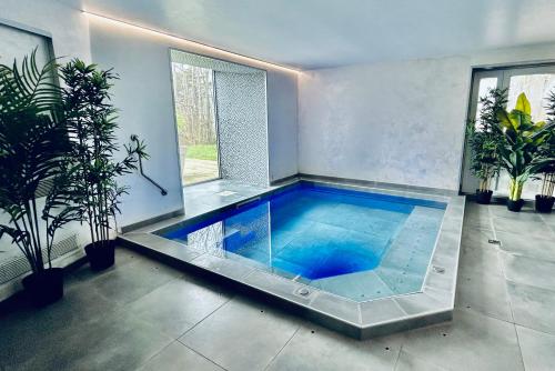 - une piscine dans une pièce ornée de plantes en pot dans l'établissement Château des Fougères Trouville sur Mer, à Trouville-sur-Mer