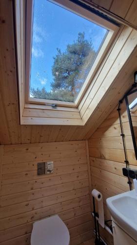 a bathroom with a window and a toilet and a sink at Domki Gromadka in Wielen Zaobrzanski